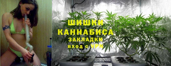 стаф Белоозёрский