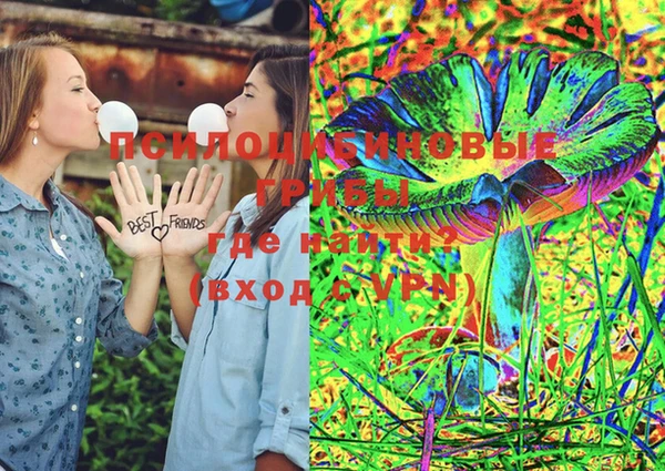 прущие крисы Белокуриха