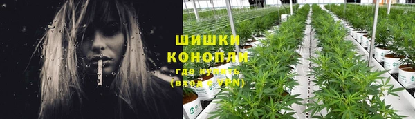 стаф Белоозёрский
