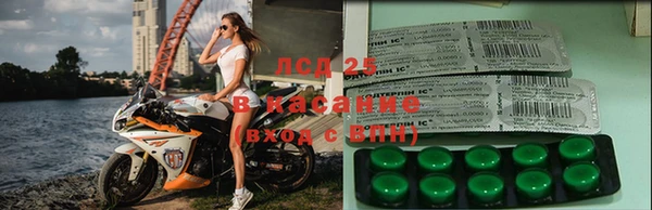 стаф Белоозёрский